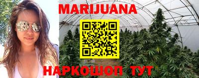 сатива Ярославль