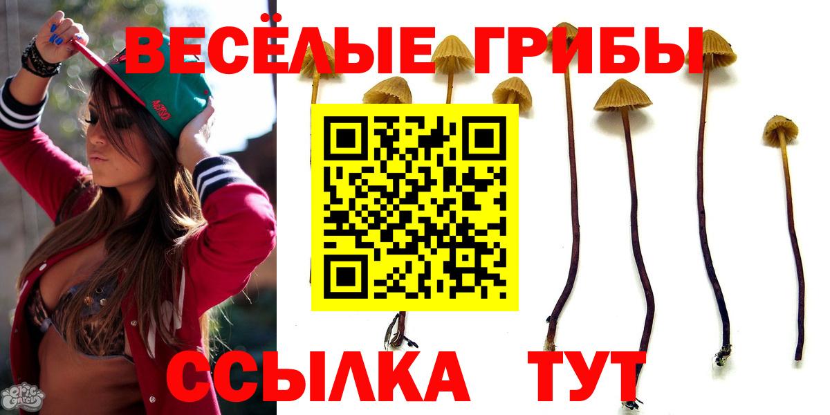 даркнет сайт  Псилоцибиновые грибы прущие грибы  Вход с VPN  Коммунар  Галлюциногенные грибы GOLDEN TEACHER 